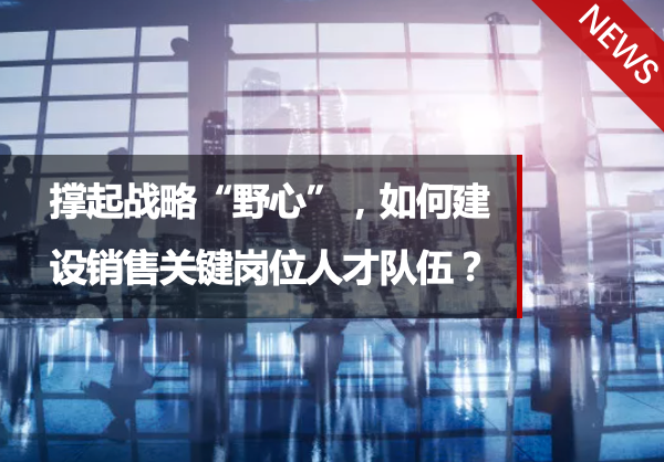 撑起战略“野心”，如何建设销售关键岗位人才队伍？