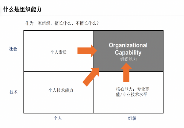 组织能力调研