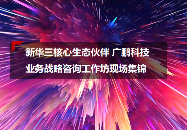 新华三核心生态伙伴广鹏科技战略咨询工作坊现场集锦