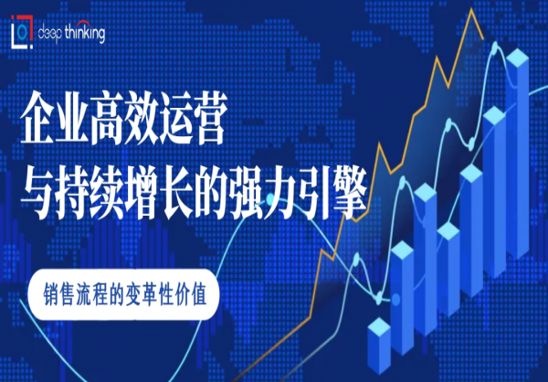 定制化销售流程：企业高效运营与持续增长的强力引擎